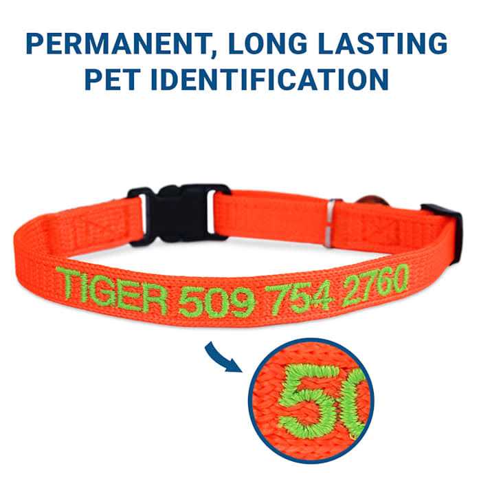 Nylon Personalized Breakaway Cat Collar with Bell H39985