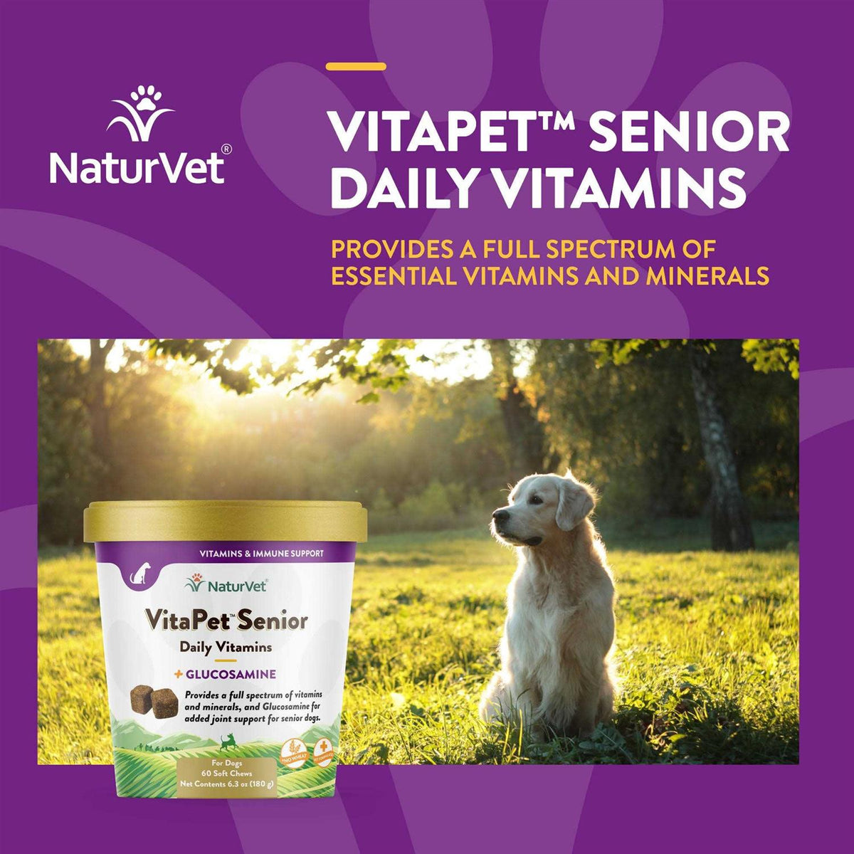 Senior Daily Vitamins Plus Glucosamine Z8379