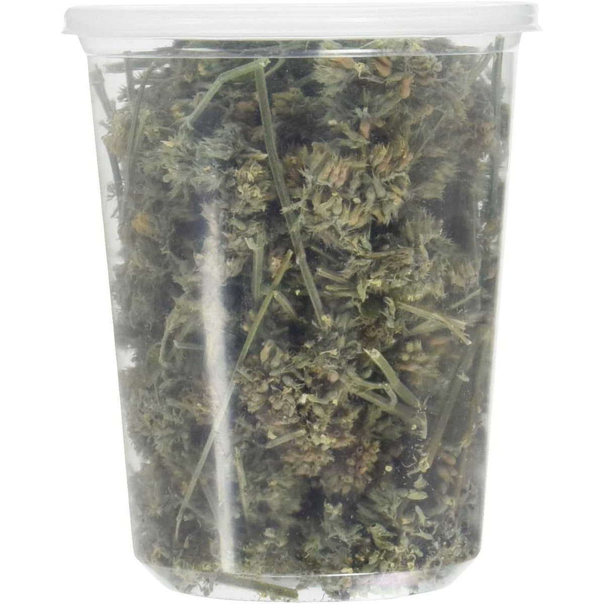 Catnip Buds O803770