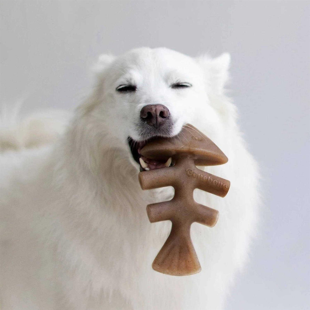 Fishbone Dog Chew D2160