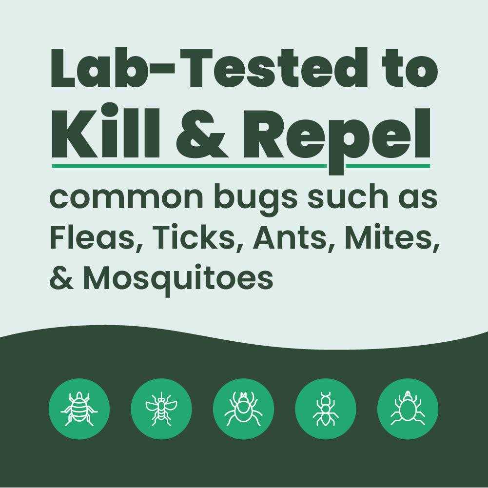 Bug Spray & Repellent Q241231