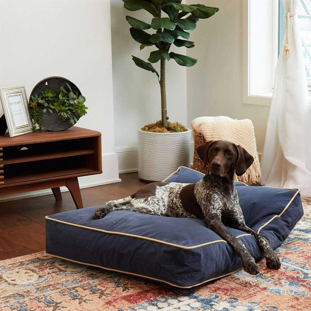 Rectangle Dog Bed with Removable Cover C757