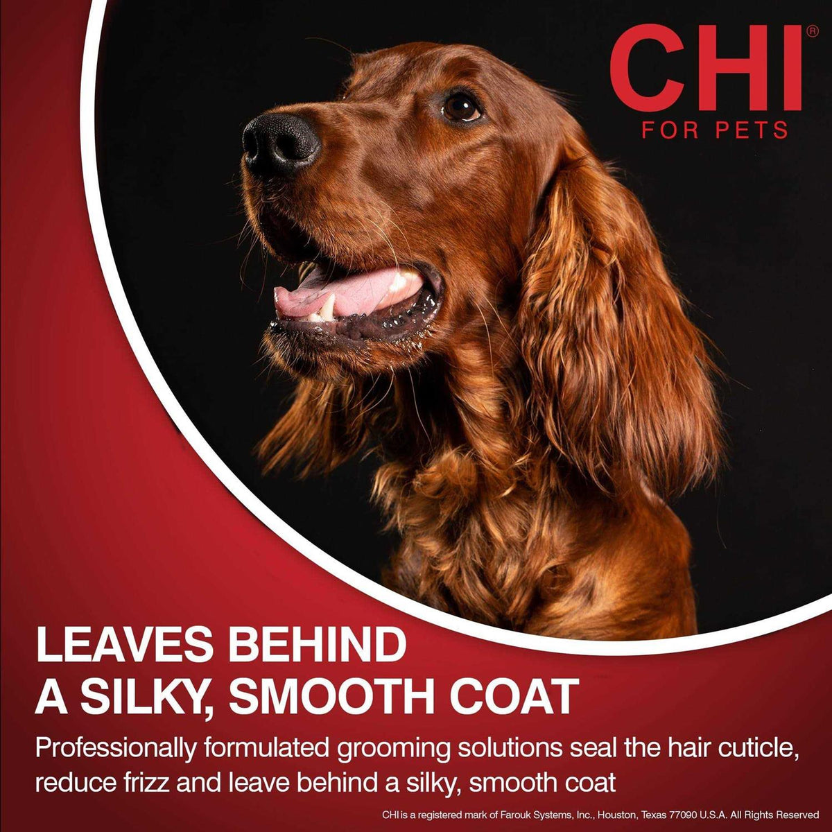 Moisturizing Dry Shampoo for Dogs F750