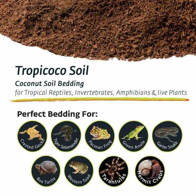 Coconut Soil Invertebrate Bedding C929
