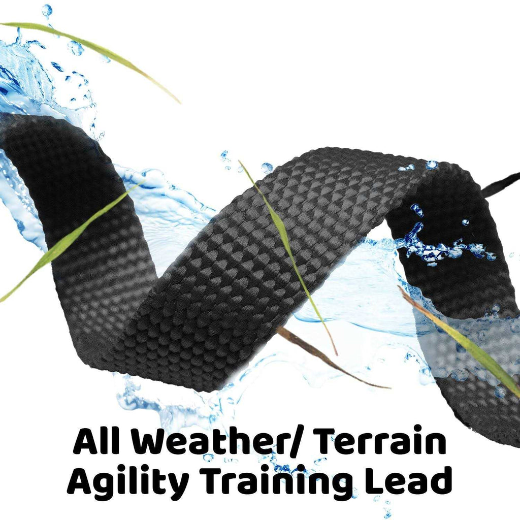 Long Lead Dog Training Leash J8953