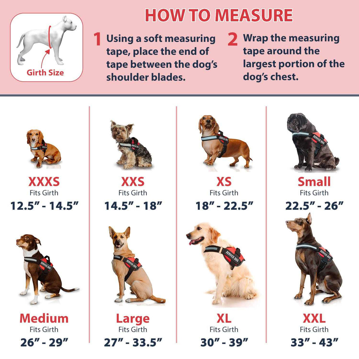 Service Dog Vest and Leash Set F43395