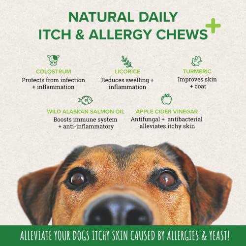 Salmon Fish Oil Dog Supplement X976908