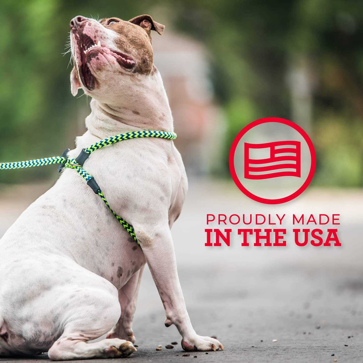 Dog Harness M82004