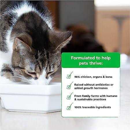 Chicken Freeze Dried Raw Cat Food U600118