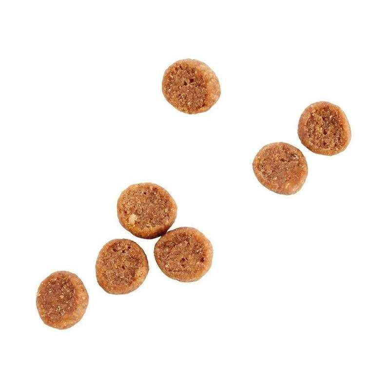 Grain Free Senior Chicken Recipe Dry Cat Food X3841
