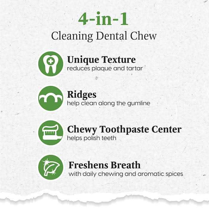 Brushless Toothpaste Large S62399