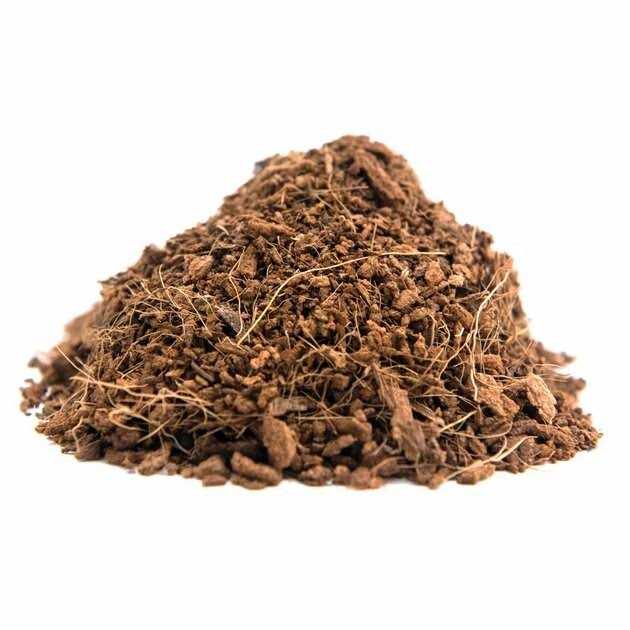 Coconut Soil Invertebrate Bedding C929