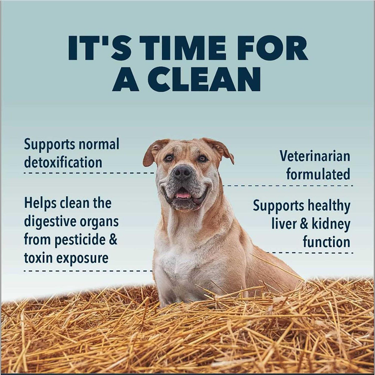 Liver Kidney Clean S8219