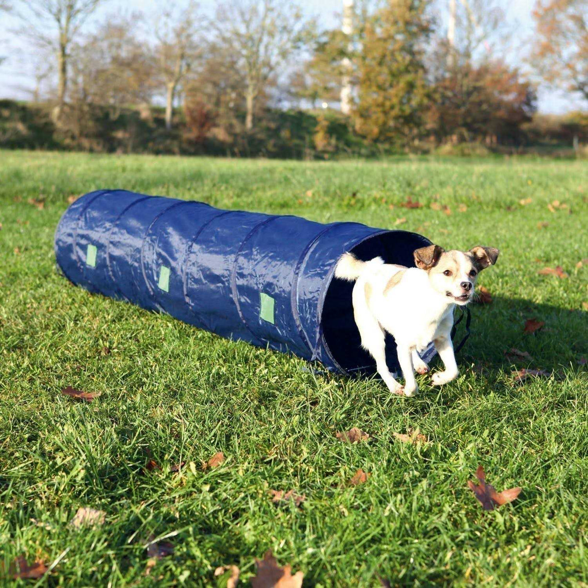 Agility Tunnel C974