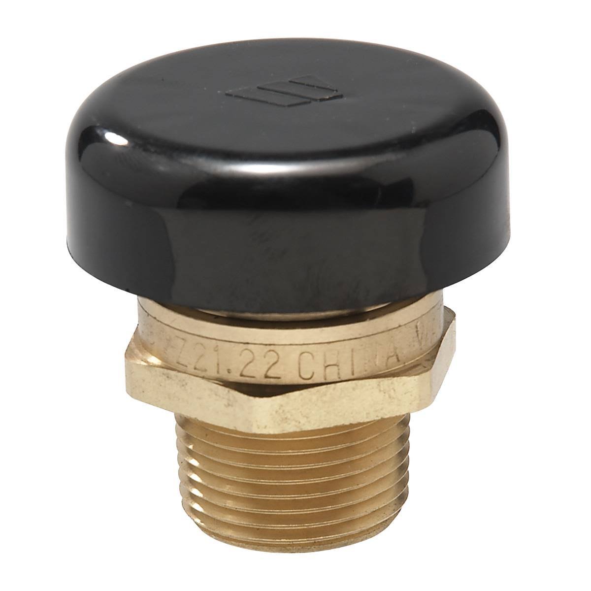 1/2" Lead Free Brass Vacuum Relief Valve T389