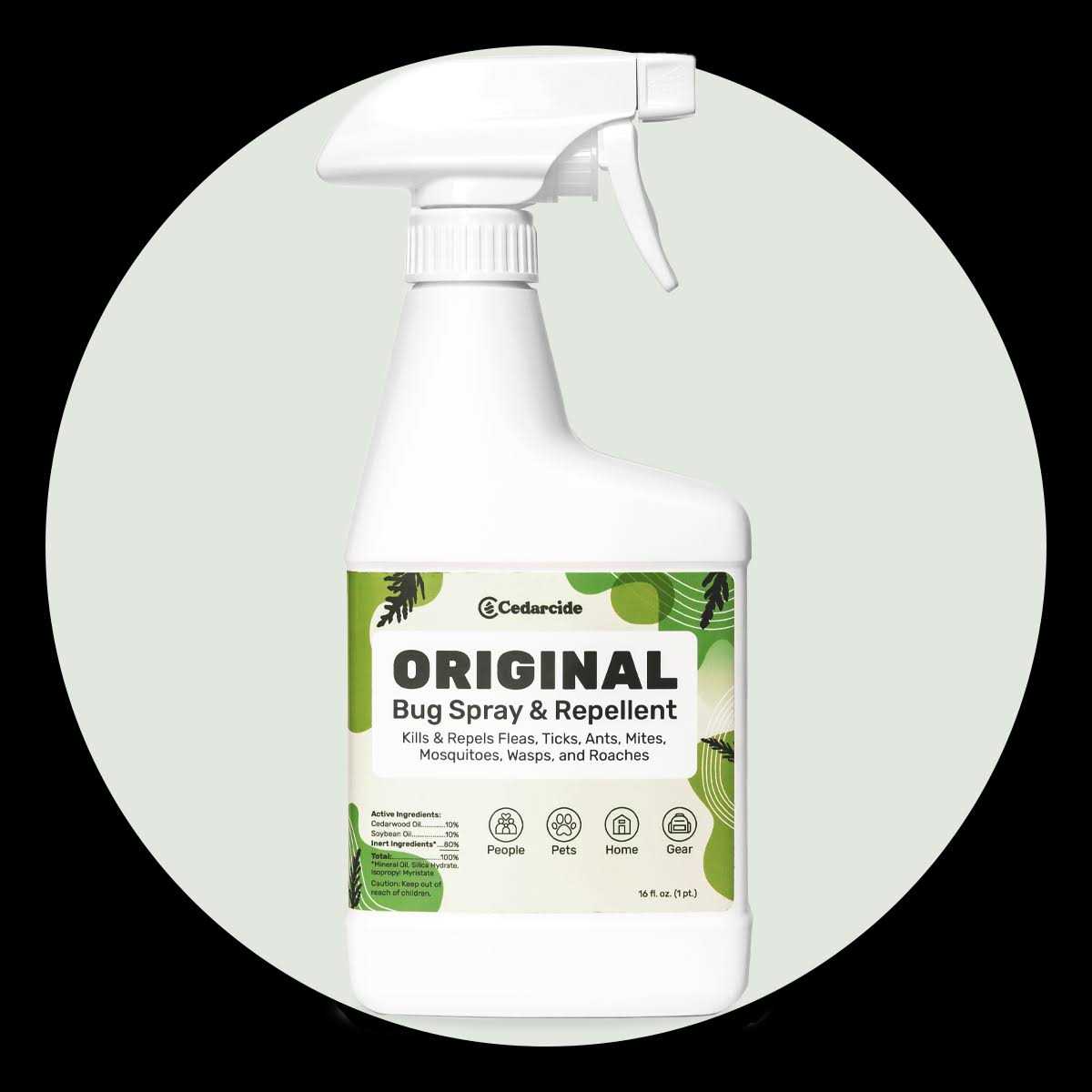 Bug Spray & Repellent Q241231