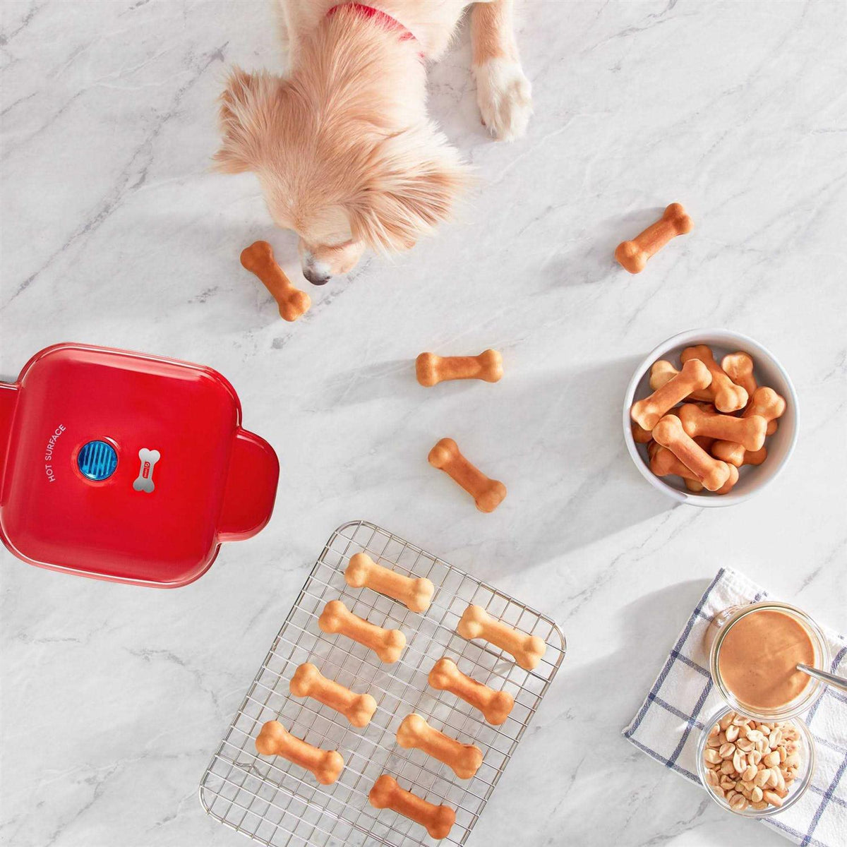 Mini Dog Treat Maker J8381