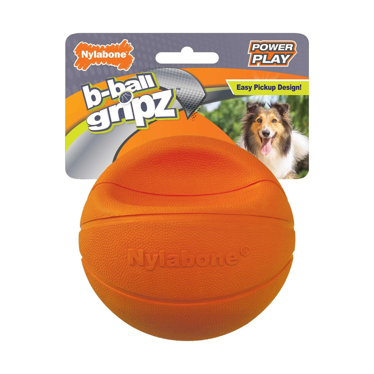 Dog Toy G64579
