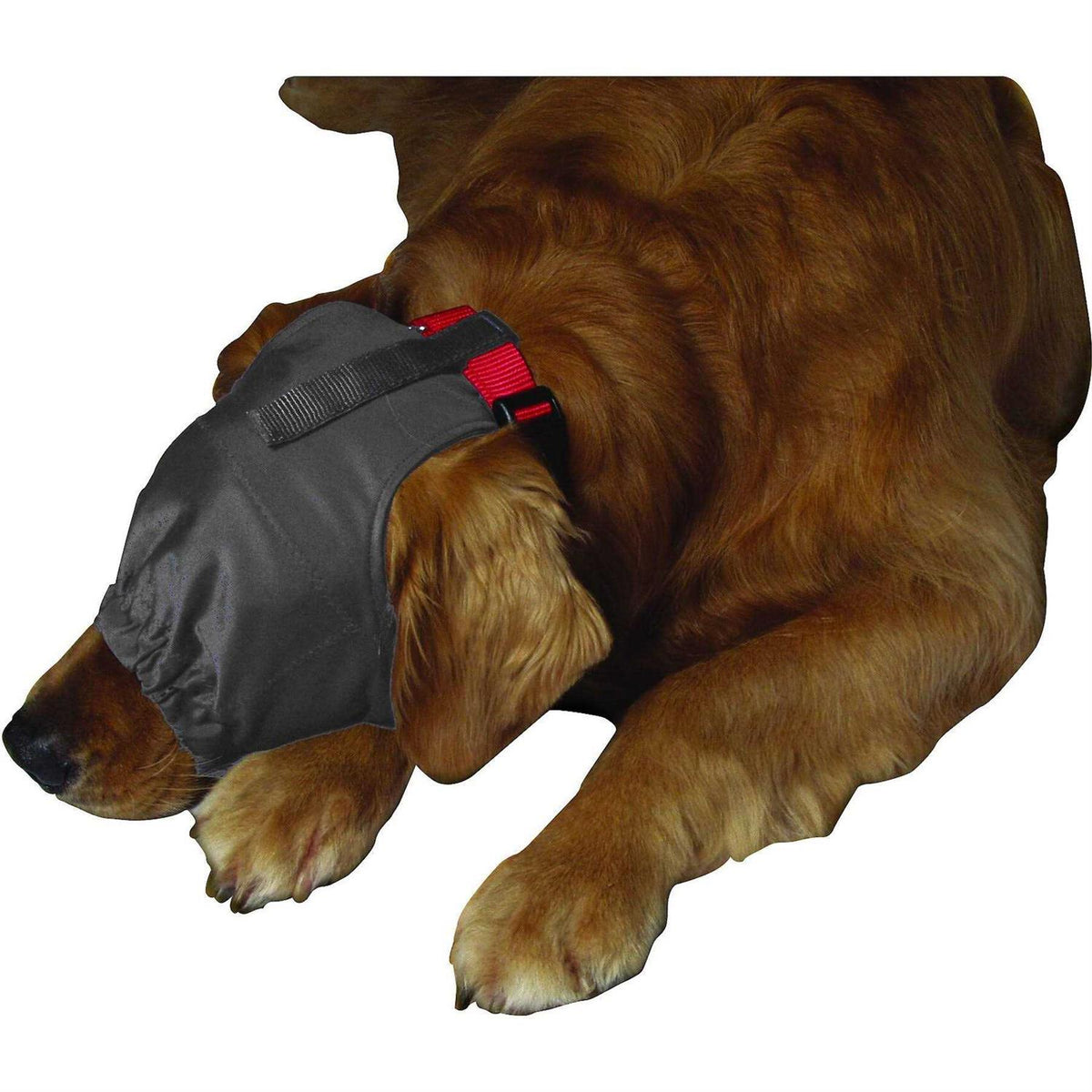 Calming Cap D90062