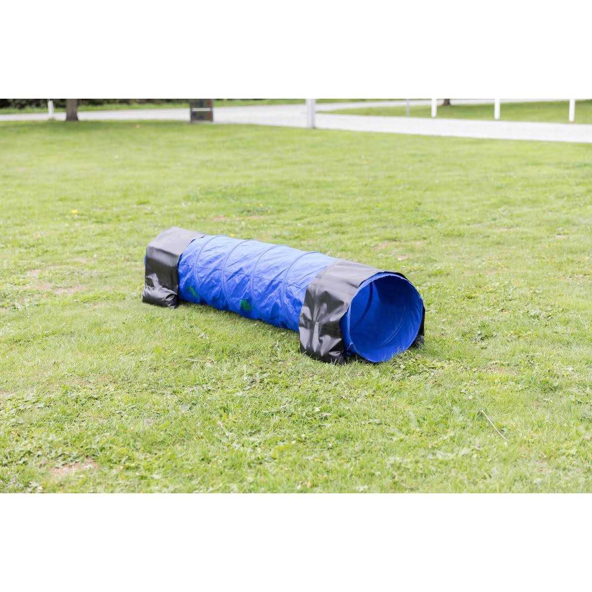 Agility Tunnel C974