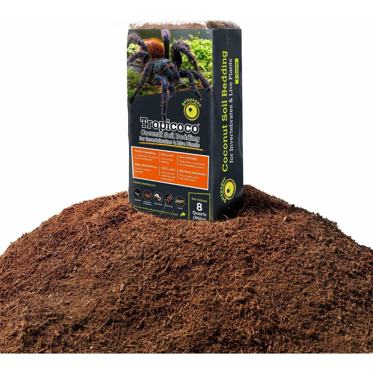 Coconut Soil Invertebrate Bedding C929