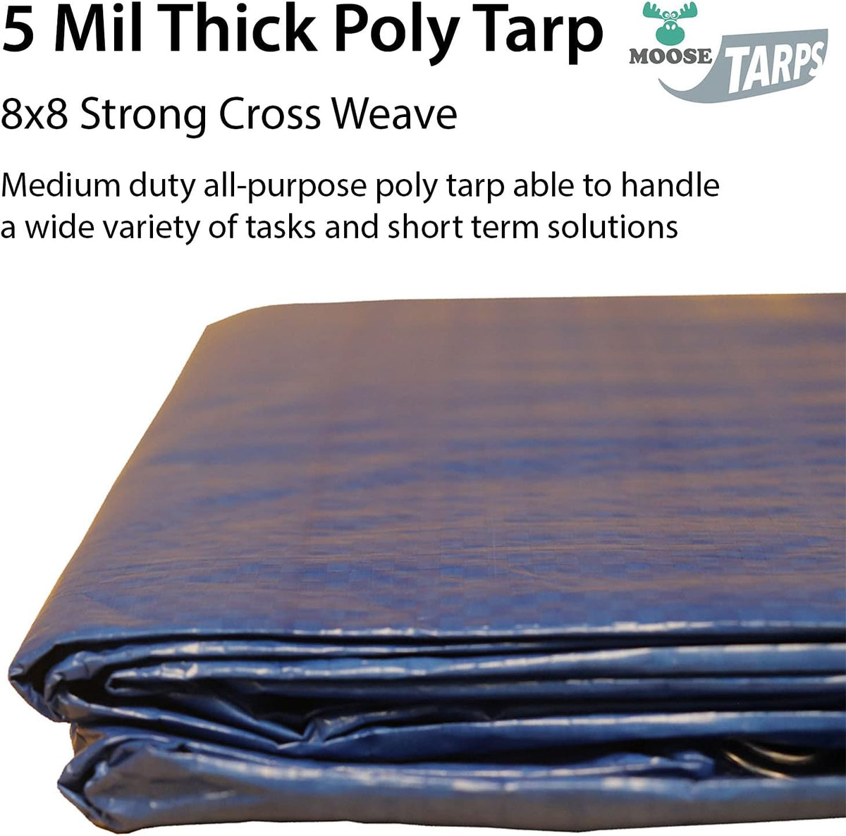 10' x 20' Water Resistant Reversible Blue/Silver Medium Duty Tarp L20830