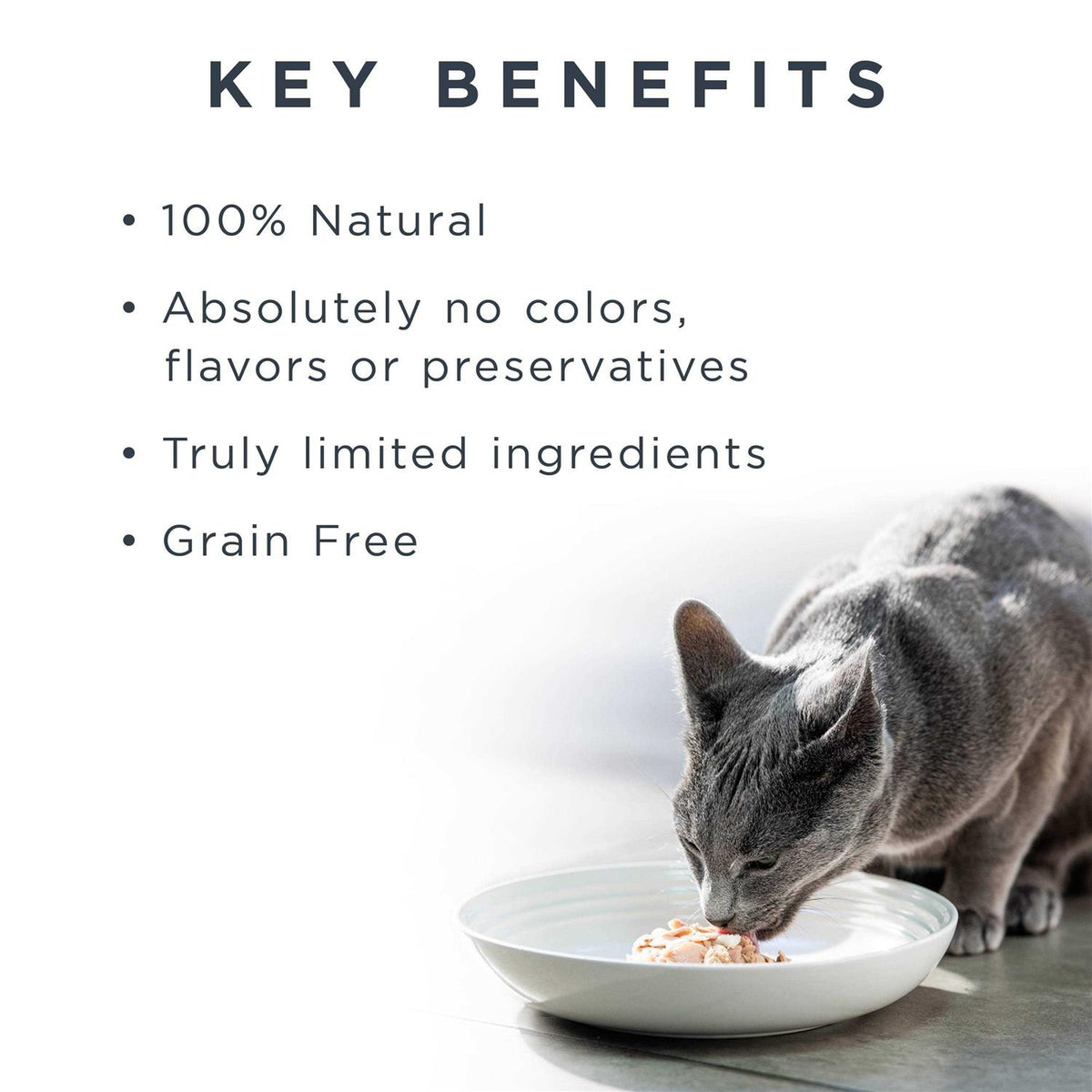 Grain Free Chicken Cat Food in Broth T502887
