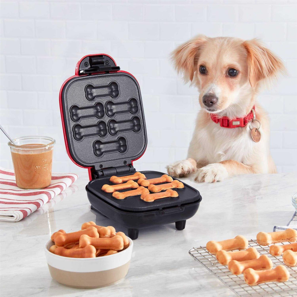 Mini Dog Treat Maker J8381