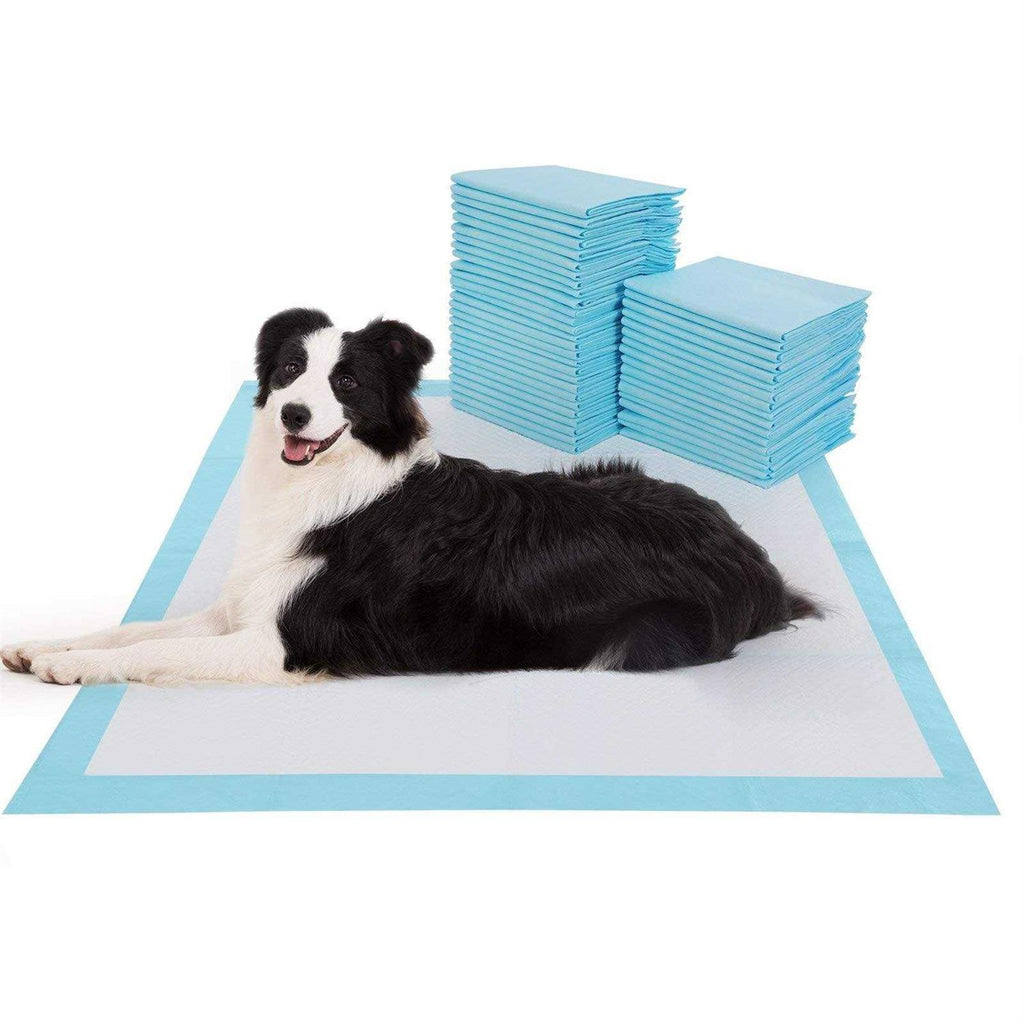 Large Super Absorbent & Leak-Proof Pet Training Pads X54786