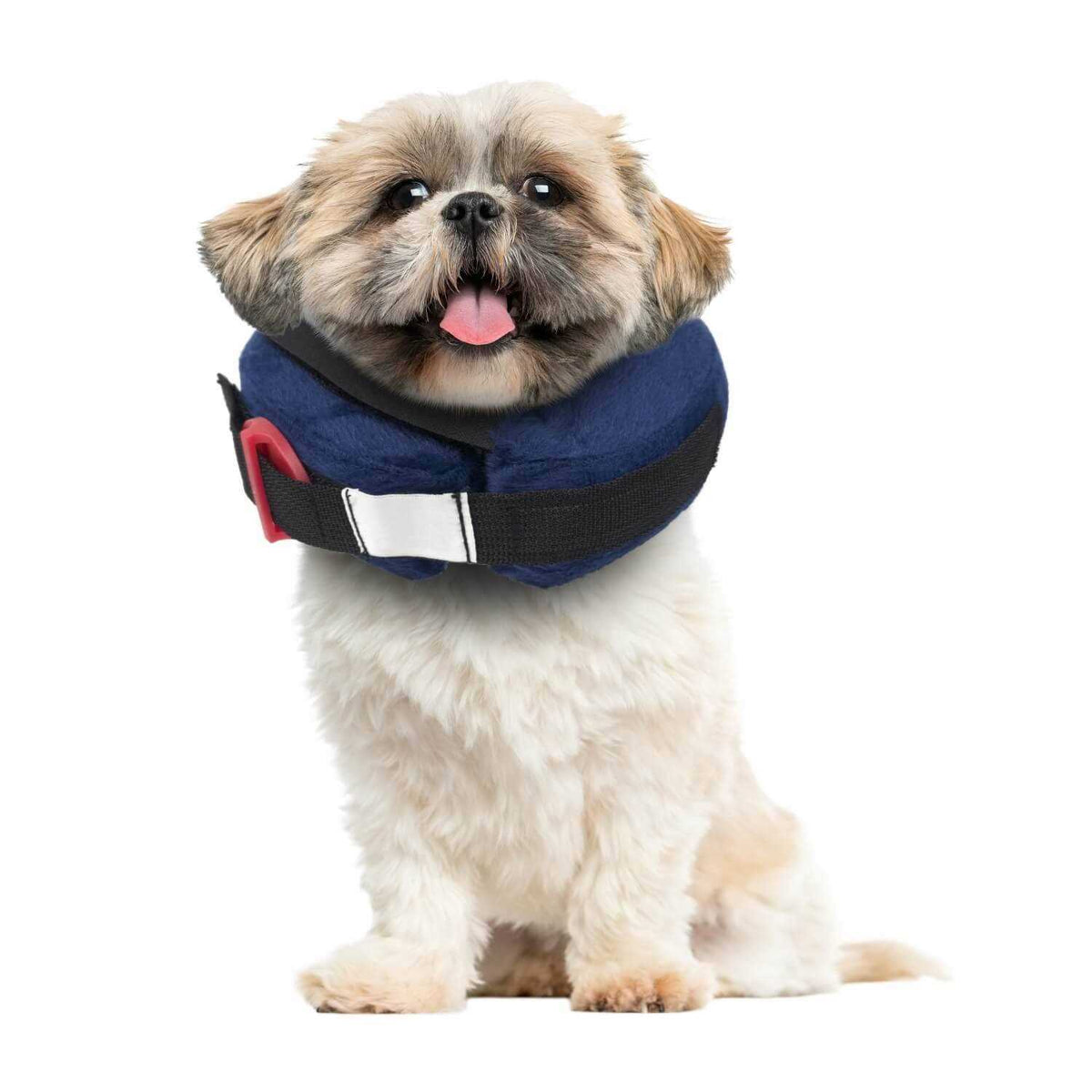 Inflatable Protective Collar F368303