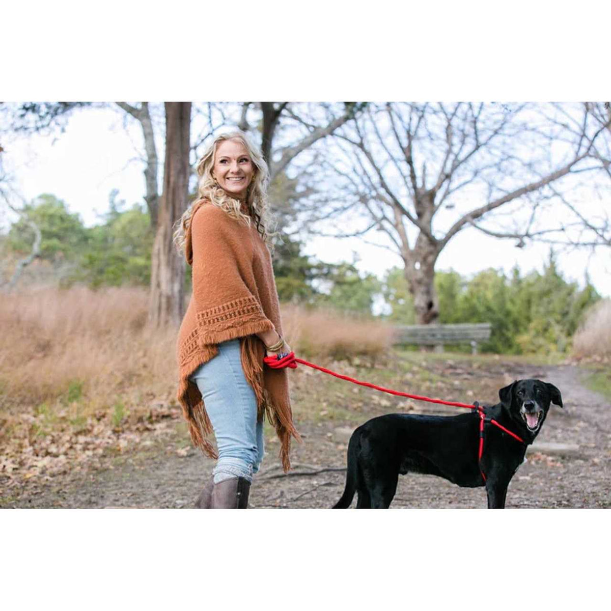 Dog Harness M82004