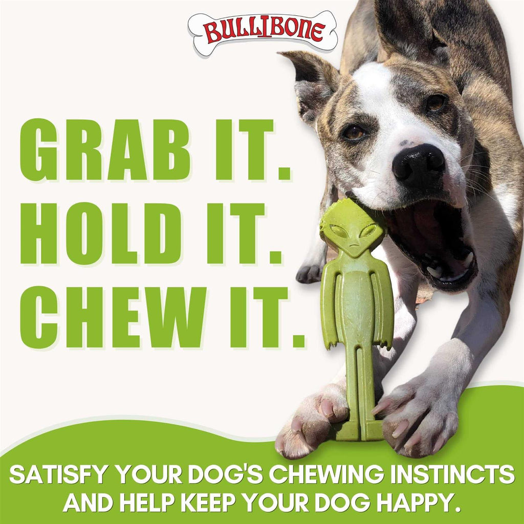 Small Dog Chew Toy with Easy Hold Grips E2137