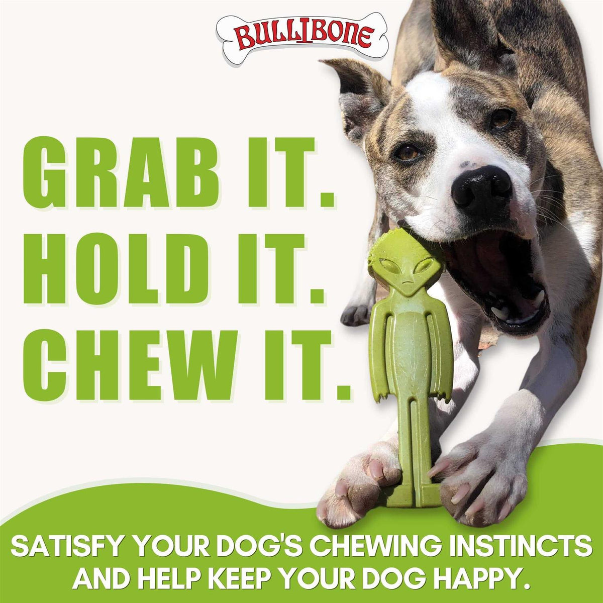 Small Dog Chew Toy with Easy Hold Grips E2137