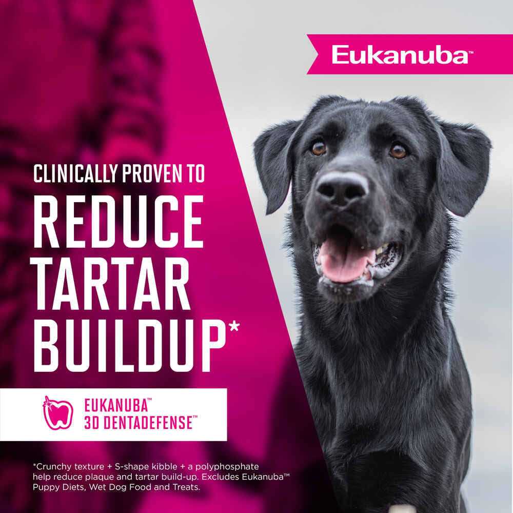 Adult Dry Dog Food E861446