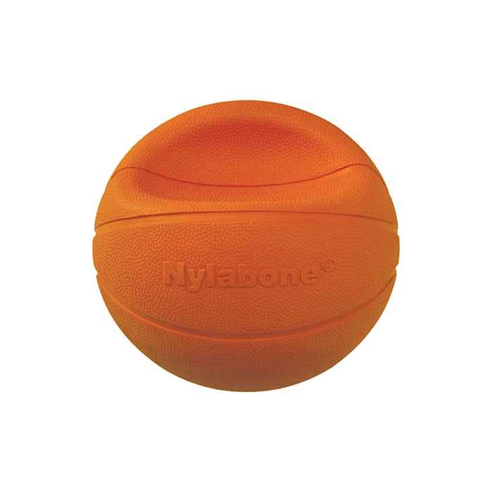 Dog Toy G64579