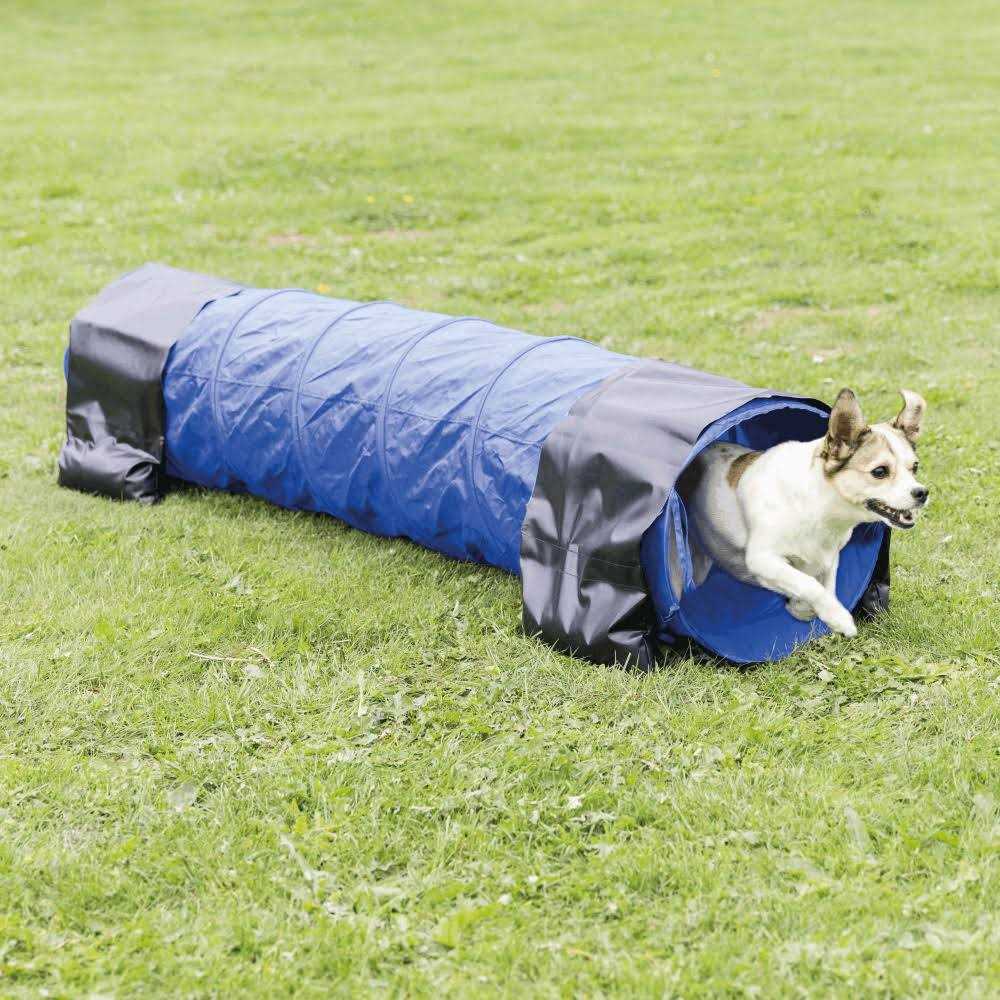 Agility Tunnel C974