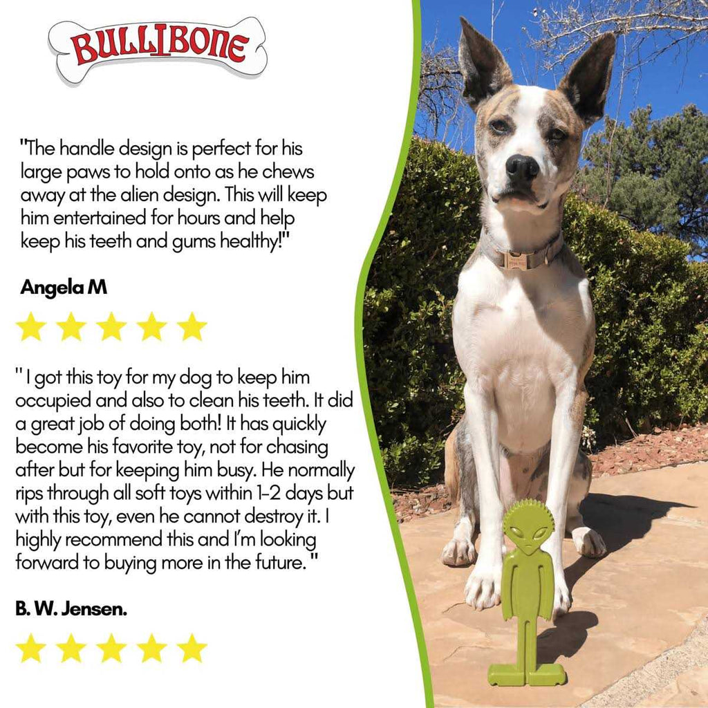 Small Dog Chew Toy with Easy Hold Grips E2137