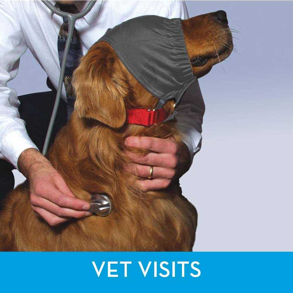 Calming Cap D90062