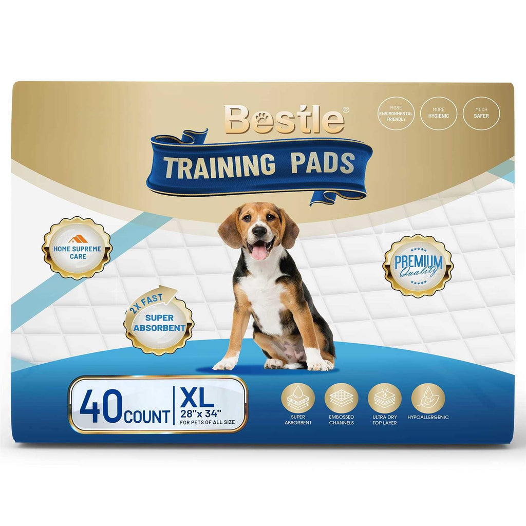 Large Super Absorbent & Leak-Proof Pet Training Pads X54786