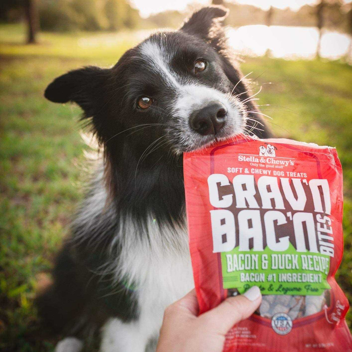 Bacon Dog Treats J877343