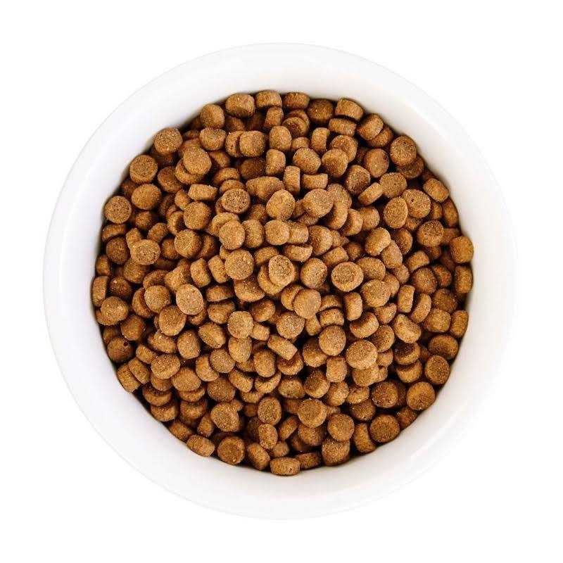 Grain Free Senior Chicken Recipe Dry Cat Food X3841