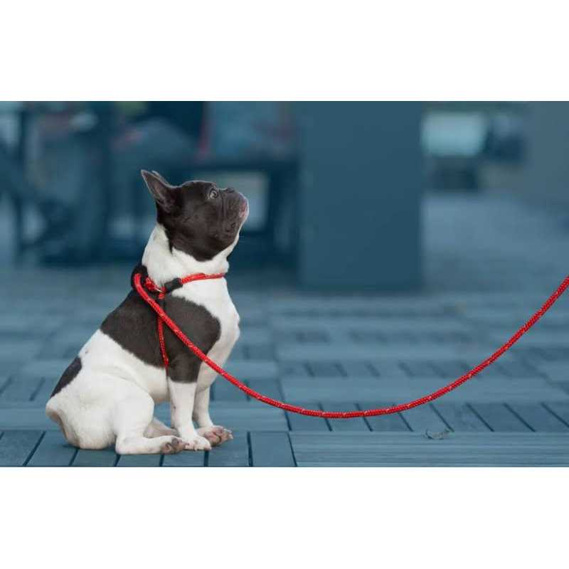Dog Harness M82004