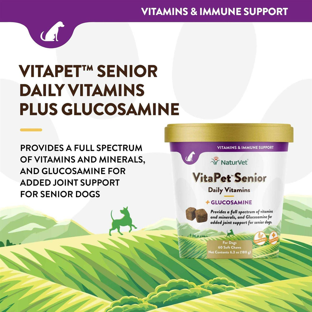 Senior Daily Vitamins Plus Glucosamine Z8379